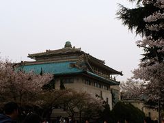 -武汉大学-樱园