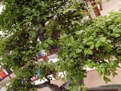 -二酉书店TOYOU BOOKS