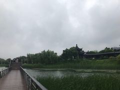 -苏州太湖湖滨国家湿地公园