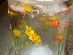 -鼎原力量东北吊炉烧烤(临河街店)