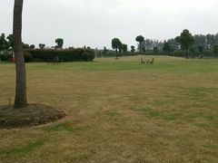 -明珠湖天鹅苑·农家菜馆