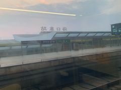 -海口东站