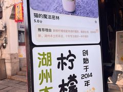 -猫的魔法密林(衣裳街店)
