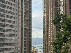 -香港大学
