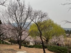 -北京西山国家森林公园