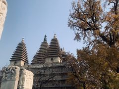 -北京石刻艺术博物馆(五塔寺)
