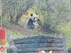 -大连森林动物园