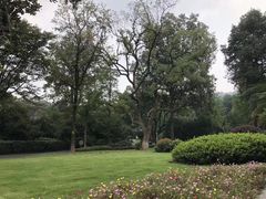 -杭州花家山庄