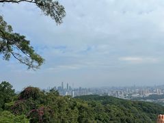 -广州市白云山风景名胜区