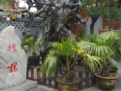 -大槐树寻根祭祖园