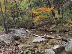 -玉渡山自然风景区