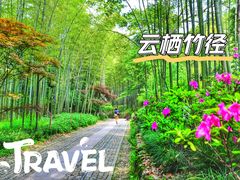-云栖竹径