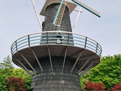 -上海鲜花港