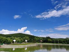 -哈尔滨北方森林动物园