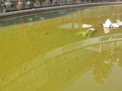 -亦庄创意生活广场