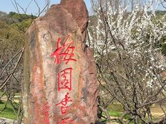 -无锡梅园公园
