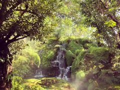 -Chom Cafe and Restaurant