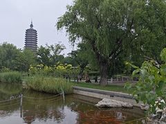 -西海子公园