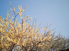 -广州市流溪河国家森林公园