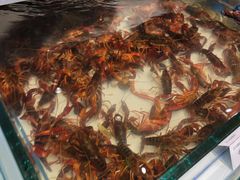 -川骄海鲜自助(亚运村店)