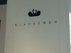 -BLACKSWAN黑天鹅(环球店)