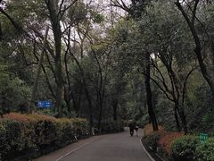 -北极阁公园