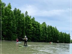 -上海海湾国家森林公园