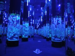 -成都浩海立方海洋公园