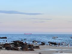 -西涌国际滨海旅游区