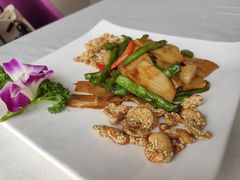 -云中小雅
