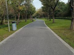 -昆山城市生态森林公园