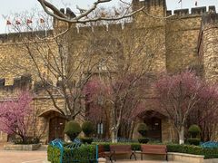 -青岛方特梦幻王国