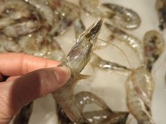 -火锅岛潮牌自助餐厅(天津天佑城店)