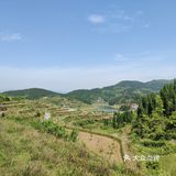 农村溜娃不比城里差呀
