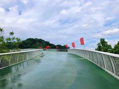 -飞凤山奥体公园