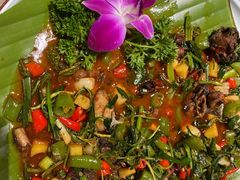 -金塔傣乡·云南民族特色菜·傣味手抓饭(金瓦路店)