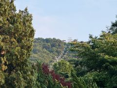 -富斯特索道