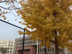 -东北大学(南湖校区)