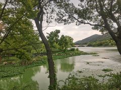 -长广溪湿地公园