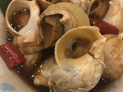 -松子料理(亮马桥店)