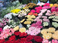 -双季花艺园艺市场(浦东店)