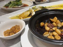 -老绍兴养和饭店(向阳不夜城店)