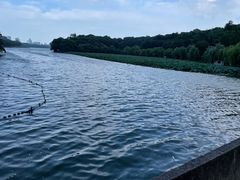 -浙江西子宾馆·瑶园咖啡厅