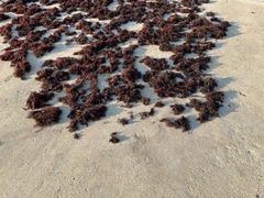 -青岛第三海水浴场