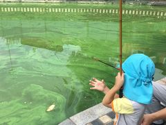 -酷鱼垂钓CLUB(朝阳区博大路店 )