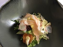 -蝶舍·MAISON PAPILLON