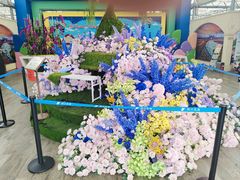 -荷兰花海