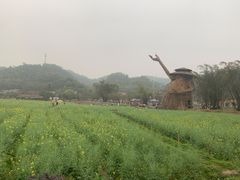 -红山村