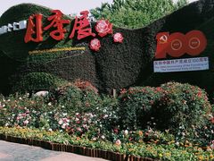 -西清公园