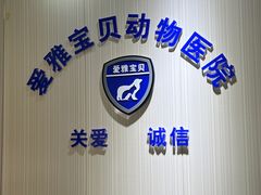 -中农大我爱我爱24h动物医院·中医针灸·猫专科·骨科医疗中心(双井店)